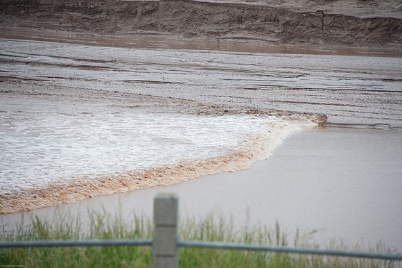 Tidal bore progressing along the Petitcodiac River in Moncton, New Brunswick.