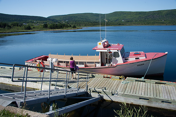 Whale-watching tour boat.