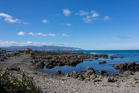 _DSC0548